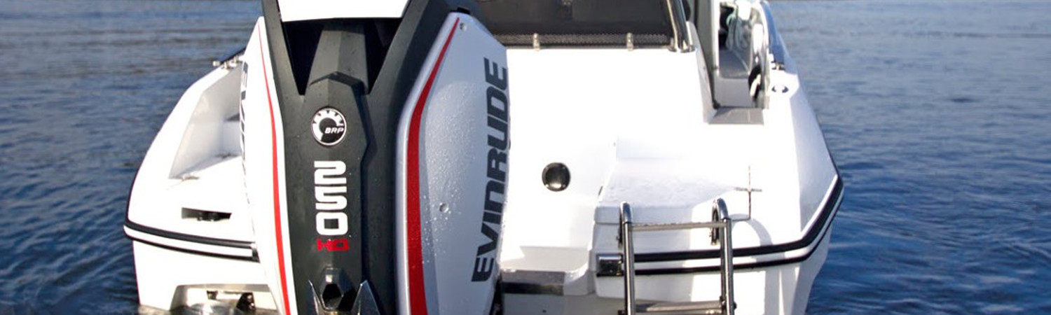 2019 Evinrude 250 for sale in Helm Marine, Aberdeen, South Dakota